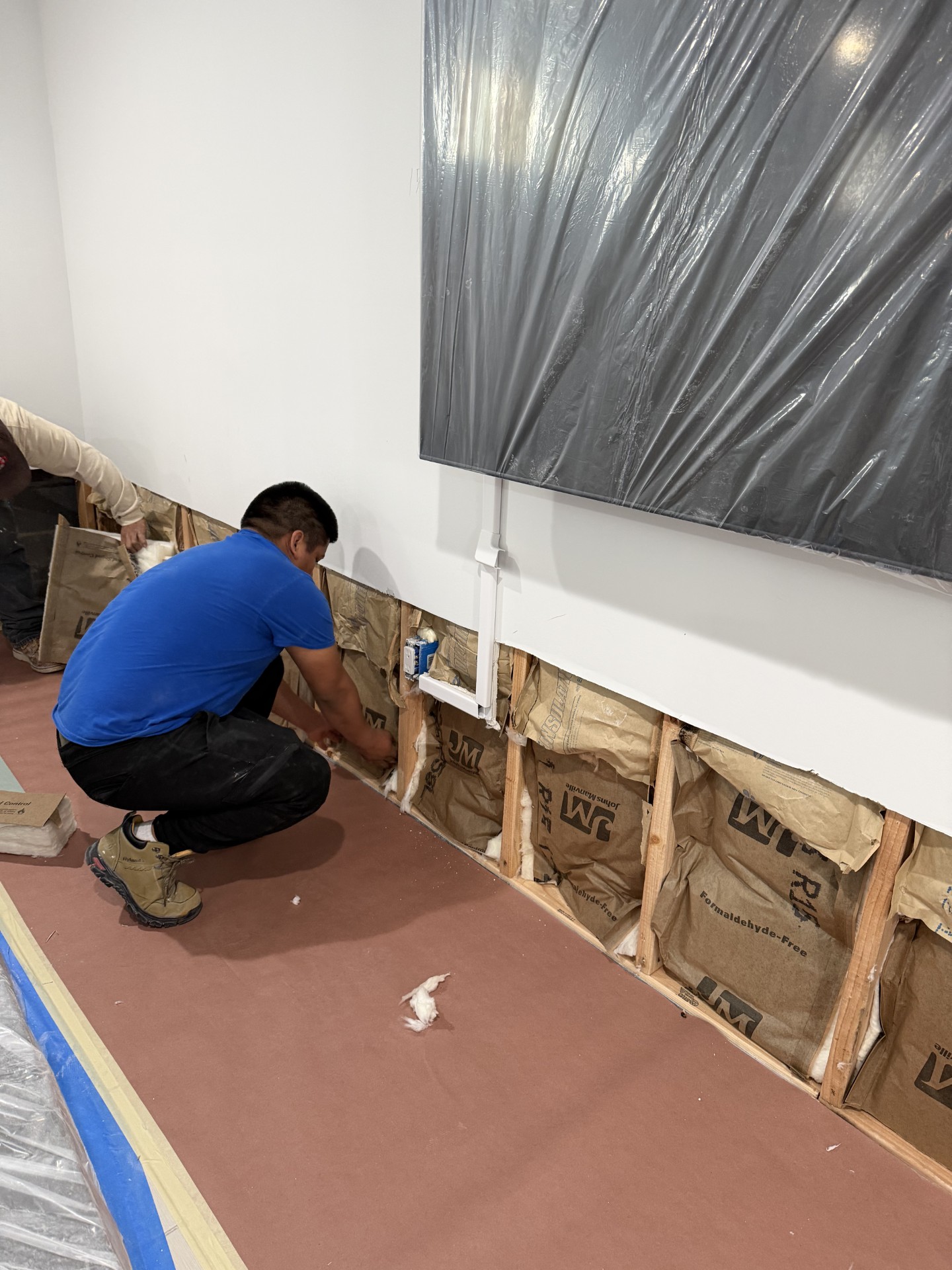 Mold Remediation